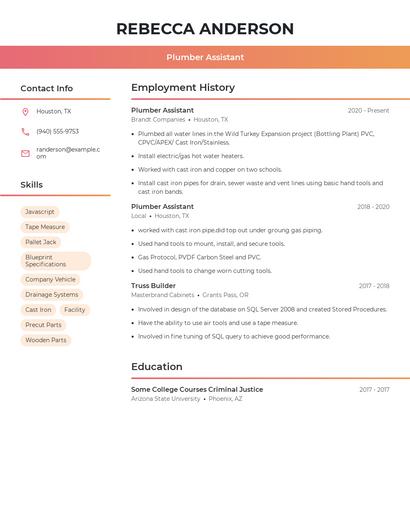 Resume example 3