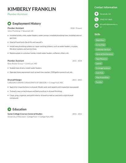 Resume example 5