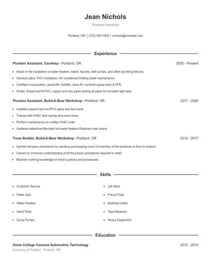 Resume example 1