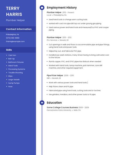 Resume example 5