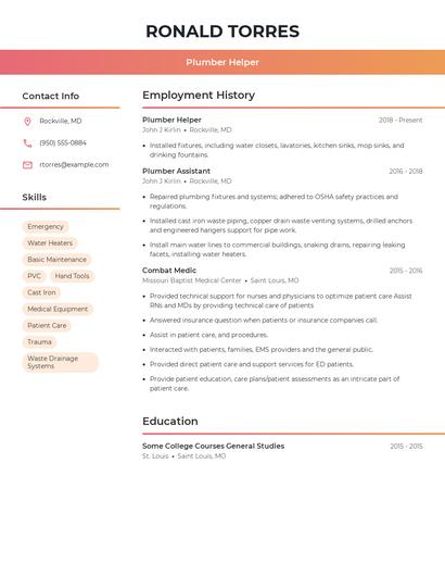 Resume example 3