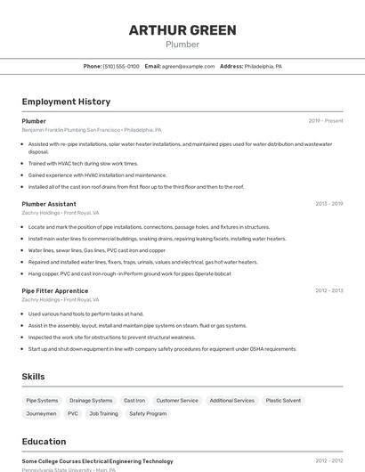 Resume example 2