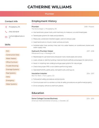Resume example 3