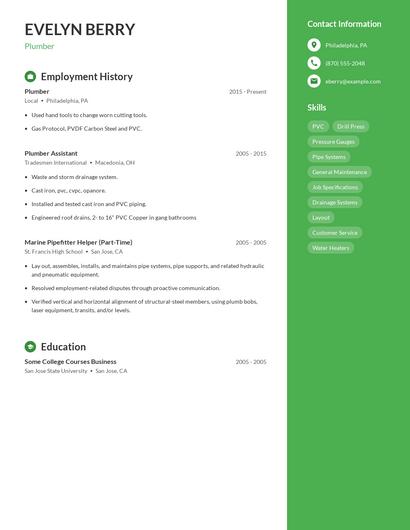 Resume example 5