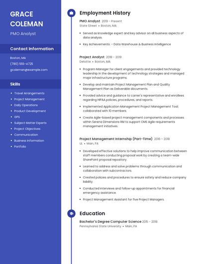 PMO Analyst Resume