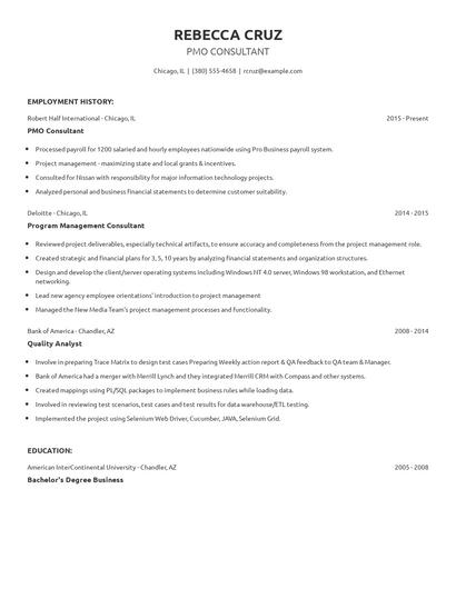 PMO Consultant Resume