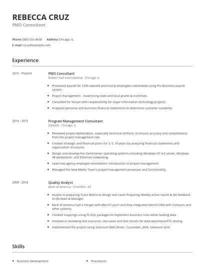 PMO Consultant Resume