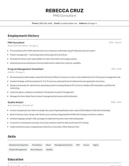 PMO Consultant Resume