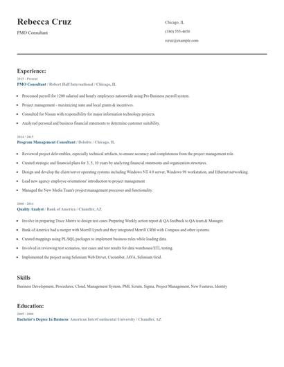 PMO Consultant Resume