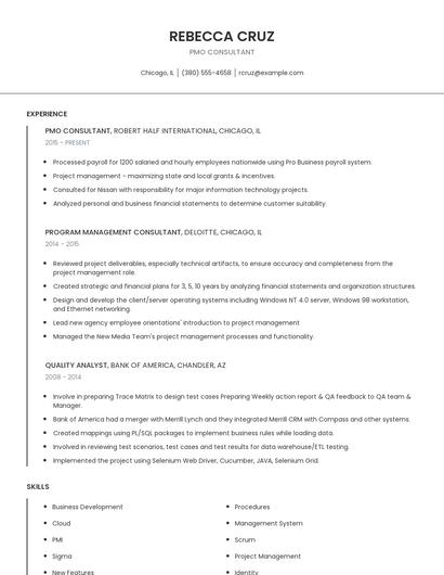 PMO Consultant Resume
