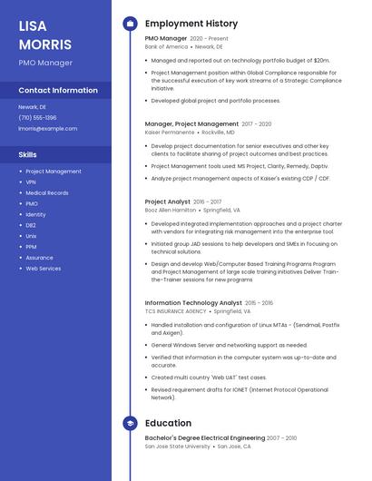 PMO Manager Resume