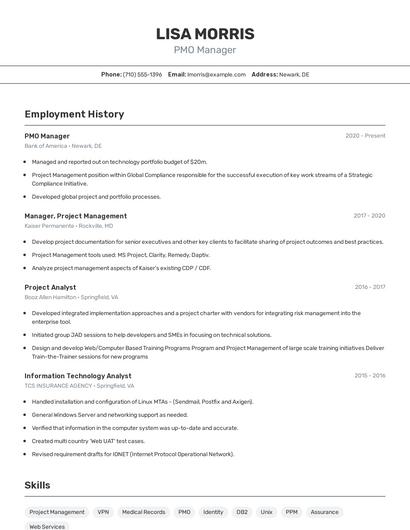 PMO Manager Resume