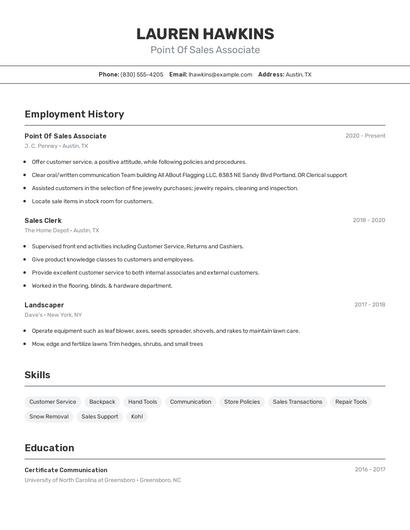Resume example 2