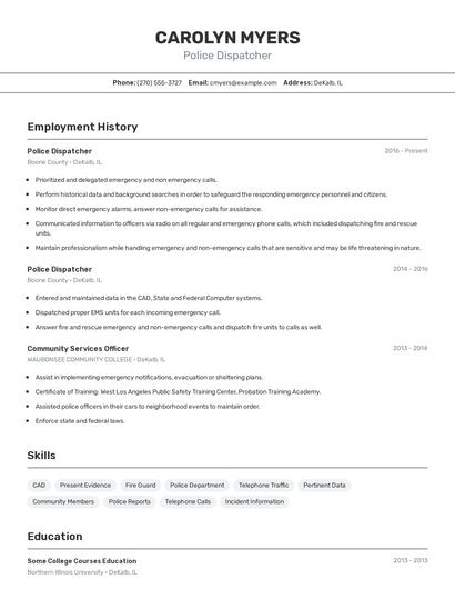 Resume example 2