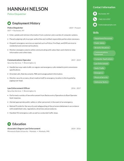 Resume example 5