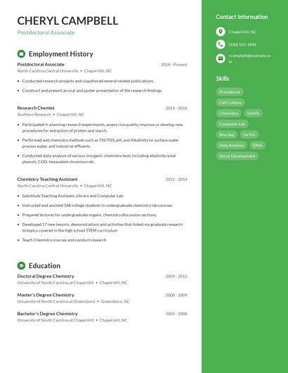 Resume example 4