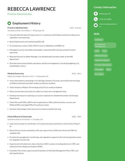 Resume example 4