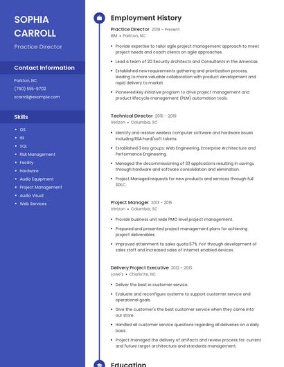 Practice Director Resume