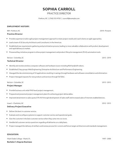 Practice Director Resume