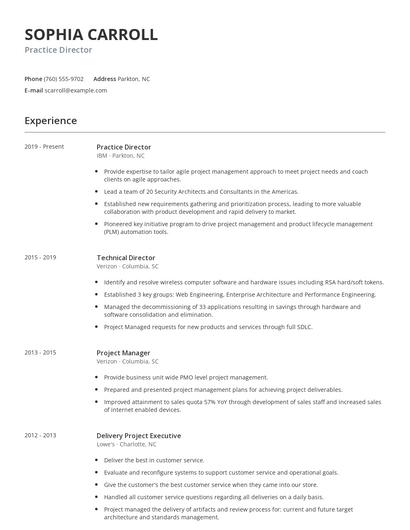 Practice Director Resume