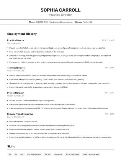 Practice Director Resume