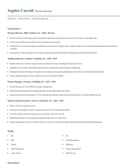 Practice Director Resume