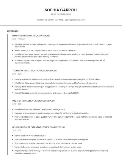 Practice Director Resume