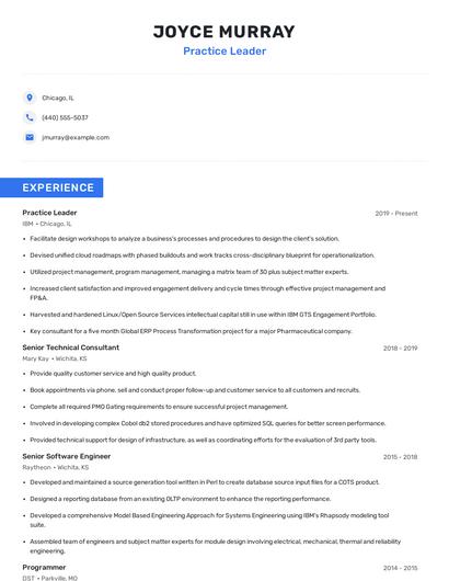 Practice Leader Resume