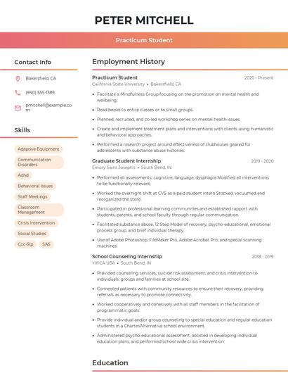 Resume example 3