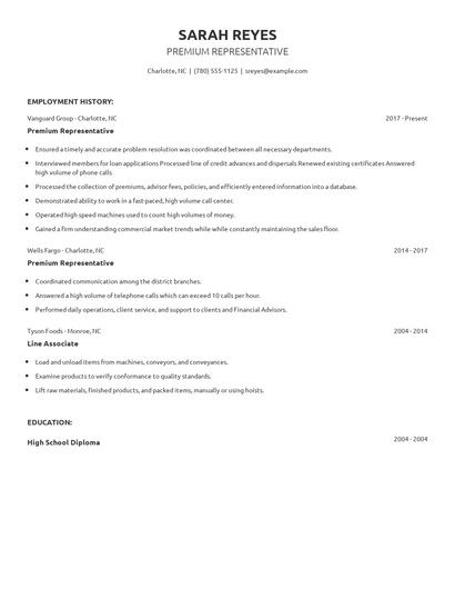 Premium Representative Resume