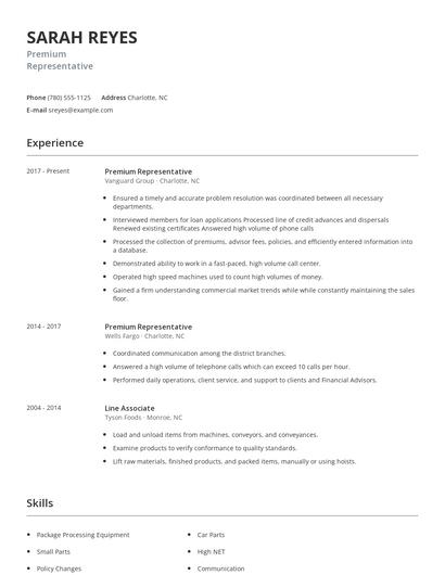 Premium Representative Resume