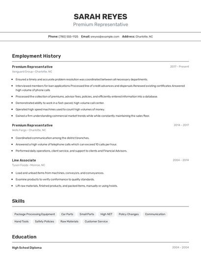 Premium Representative Resume