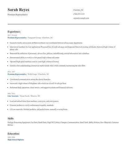 Premium Representative Resume