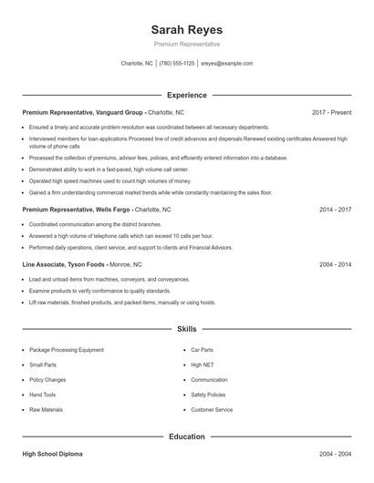 Premium Representative Resume
