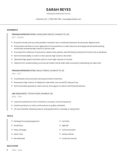 Premium Representative Resume