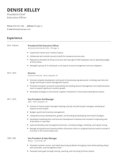 President/Chief Executive Officer Resume