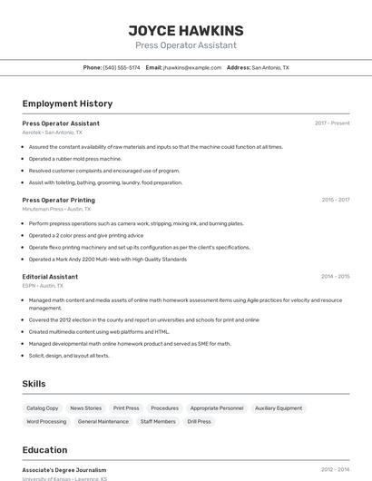 Resume example 2