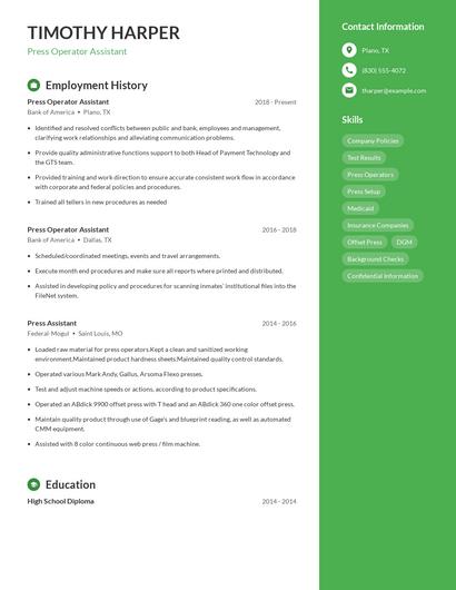 Resume example 4