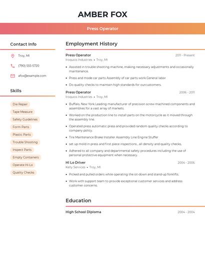 Resume example 3