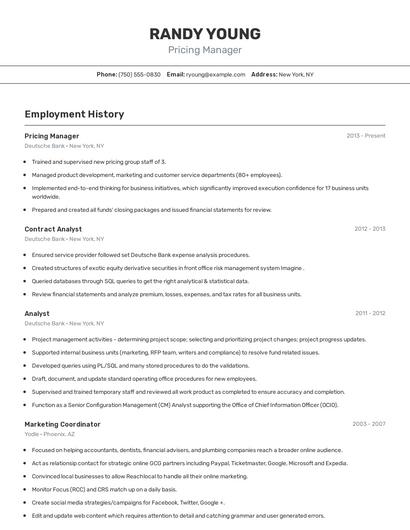 Resume example 2