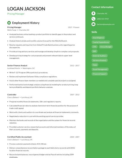Resume example 4