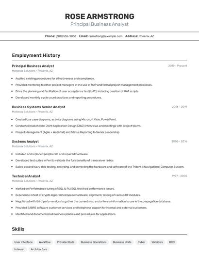 Principal Business Analyst Resume