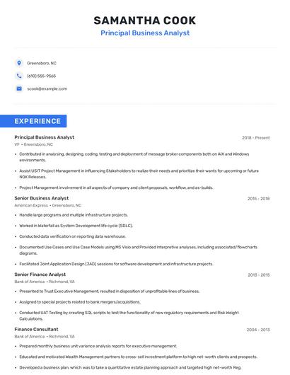 Principal Business Analyst Resume