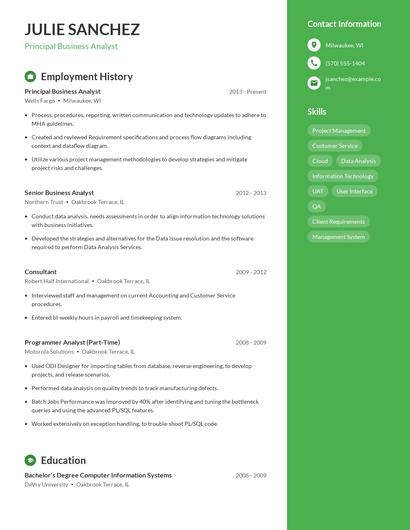 Principal Business Analyst Resume