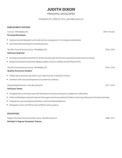Principal Developer Resume