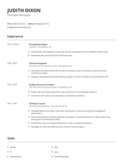 Principal Developer Resume