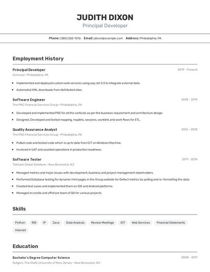 Principal Developer Resume