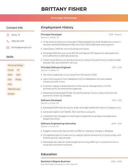 Principal Developer Resume