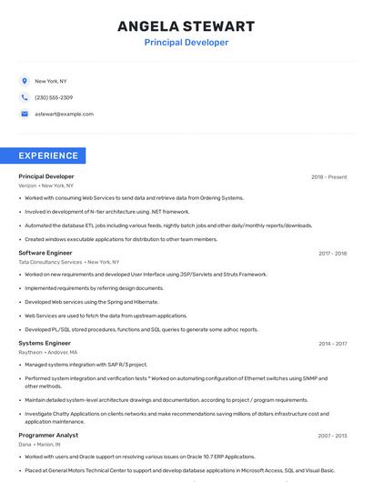 Principal Developer Resume