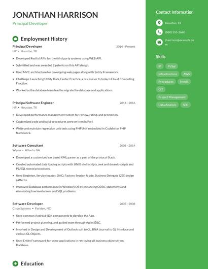 Principal Developer Resume